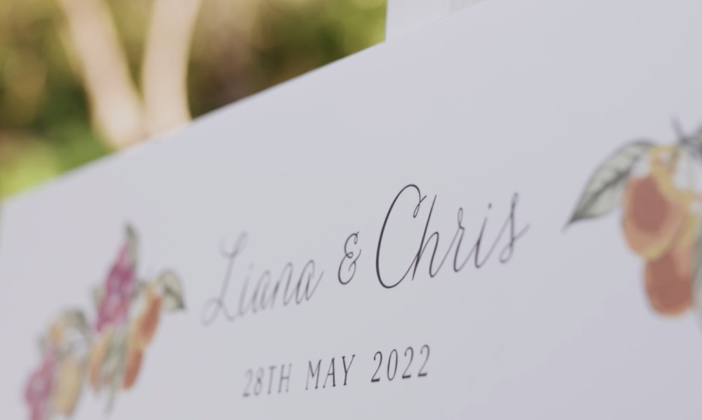 Liana & Chris Wedding Video